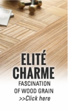 ÉLITE CHARME